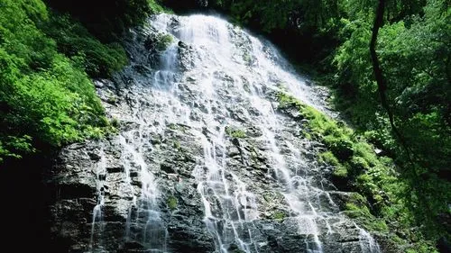 智能高端